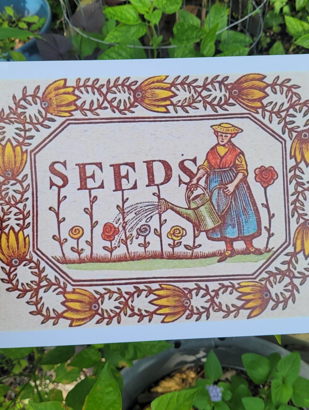 Seeds Vintage Garden Wall Art Print - Yellow, Brown, Blue